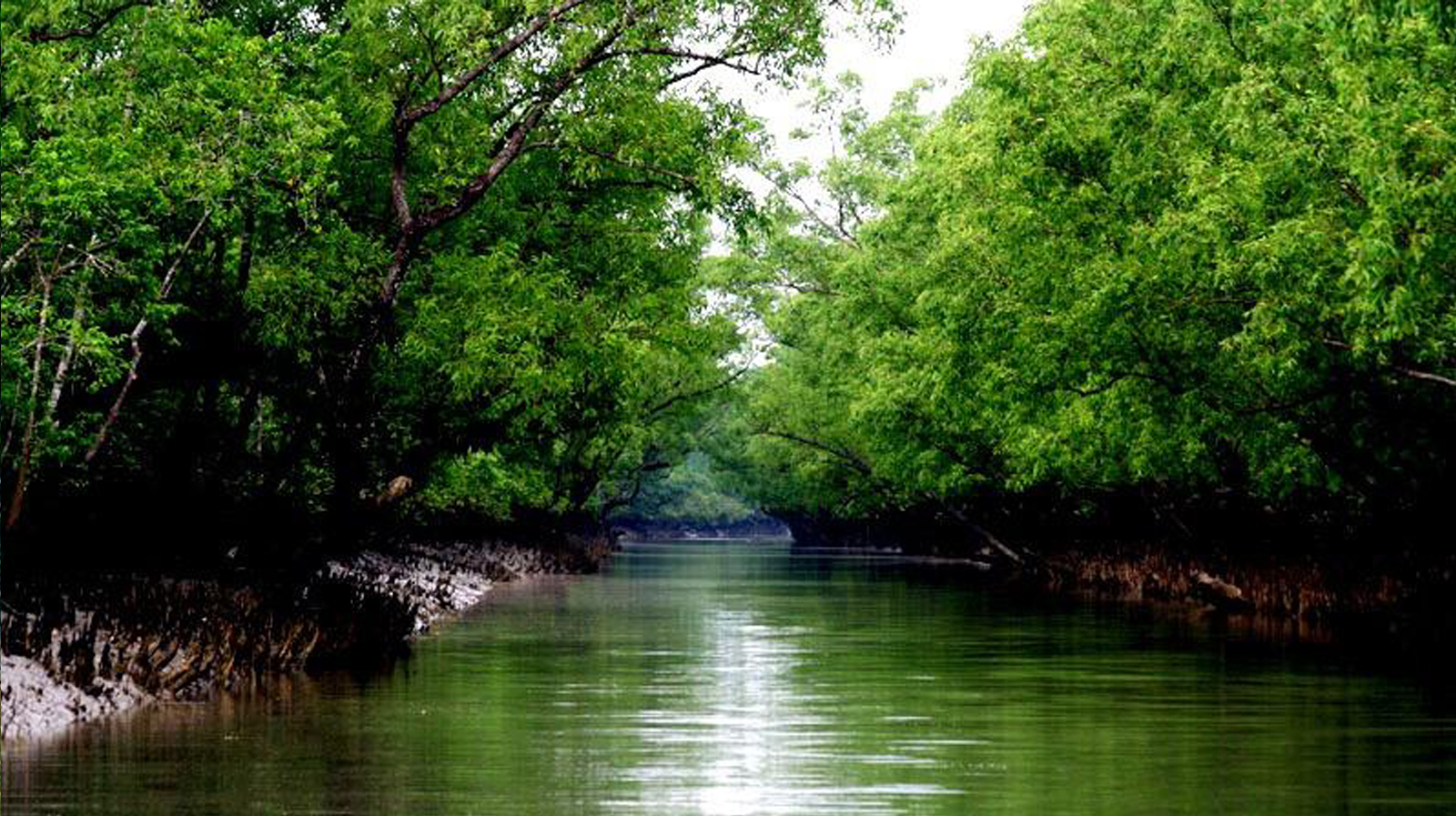 sundarban bangladesh tour