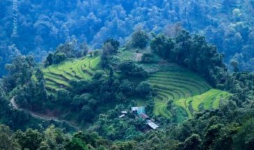 Explore the beauty of Yaakten Village